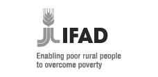 IFAD